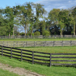 greengrass